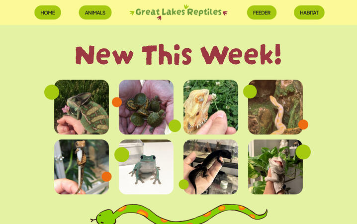 Great Lakes Reptile site prototype, 2024