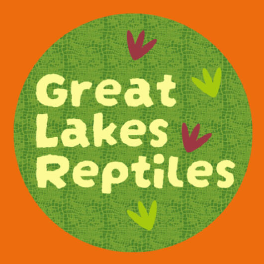 Great Lakes Reptile - website redesign concept.